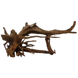 Kép 5/7 - Mangrove gyökér