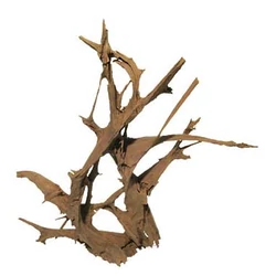 Kép 1/7 - Mangrove gyökér