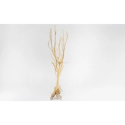 Kép 2/5 - Slim Tree fa