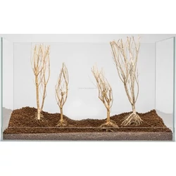 Kép 5/5 - Slim Tree fa
