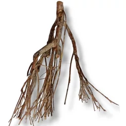 Kép 5/9 - Talawa Wood fa