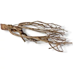 Kép 4/9 - Talawa Wood fa