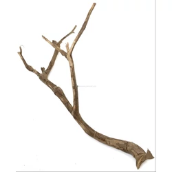 Kép 7/9 - Talawa Wood fa