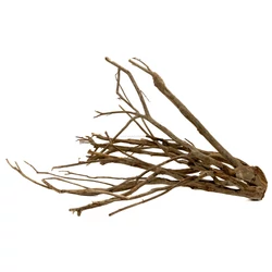 Kép 4/8 - Talawa Wood fa