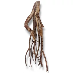Kép 5/8 - Talawa Wood fa