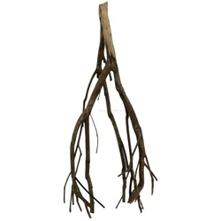 Kép 2/8 - Talawa Wood fa