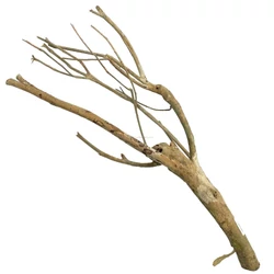 Kép 1/9 - Talawa Wood fa