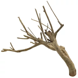 Kép 2/9 - Talawa Wood fa