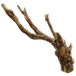 Kép 3/9 - Talawa Wood fa