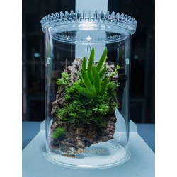 Kép 2/2 - Chihiros Glass Pot Dew S (930 ml) ültetőedény