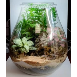 Kép 2/2 - Chihiros Glass Pot Dew Shaped (3250 ml) ültetőedény