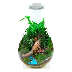 Kép 3/5 - Stand