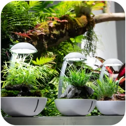 Kép 7/8 - Chihiros Wabi Kusa szett (Terrarium Egg)