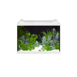 Kép 1/13 - Eheim aquapro 84 LED akvárium szett fehér