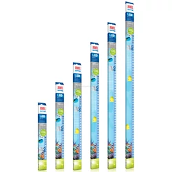 Kép 5/5 - Juwel LED Blue fénycső 16 W / 742 mm