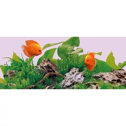 Kép 3/5 - Juwel LED Colour fénycső 11 W / 590 mm