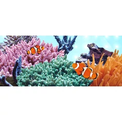 Kép 3/5 - Juwel LED Marine fénycső 17 W / 895 mm