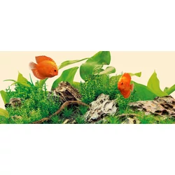 Kép 3/5 - Juwel LED Nature fénycső 21 W / 1047 mm