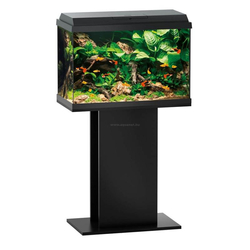 Kép 2/5 - Juwel Primo 70 LED akvárium szett fekete