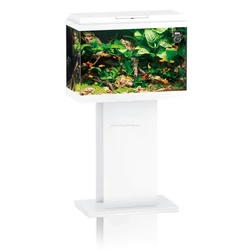 Kép 2/5 - Juwel Primo 70 LED akvárium szett fehér