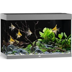 Kép 1/7 - Juwel Rio 290 LED akvárium szett szürke