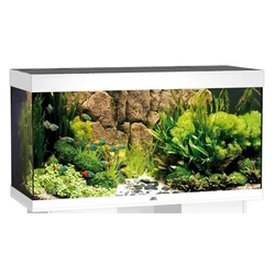 Kép 1/7 - Juwel Rio 350 LED akvárium szett fehér