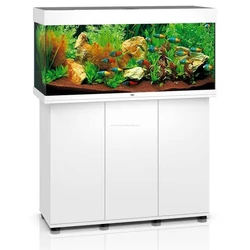 Kép 2/7 - Juwel Rio 350 LED akvárium szett