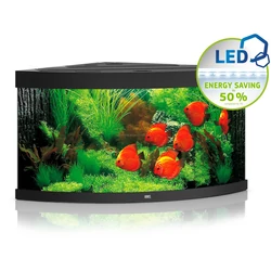 Kép 1/6 - Juwel Trigon 350 LED akvárium szett fekete
