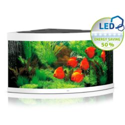 Kép 1/6 - Juwel Trigon 350 LED akvárium szett fehér