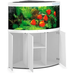 Kép 3/6 - Juwel Trigon 350 LED akvárium szett