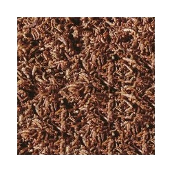 Kép 2/2 - Sera Bloodworms FD Snack Nature szárított, liofilizált díszhaltáp 250 ml