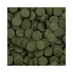 Kép 2/2 - Sera Spirulina Tabs Nature tabletta díszhaltáp 24 tab.