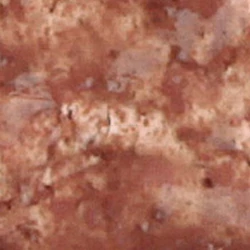 Kép 2/2 - Tetra FreshDelica Brine Shrimps szárított