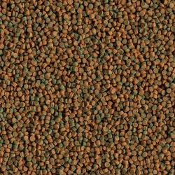 Kép 2/2 - Tetra Cichlid Algae Mini Pellets granulátum díszhaltáp 500 ml