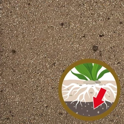 Kép 2/3 - Tetra CompleteSubstrate növénytalaj