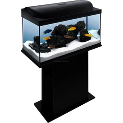 Kép 7/9 - Tetra Starter Line 105 LED akvárium szett fekete