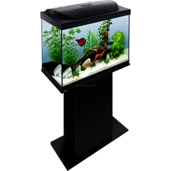 Kép 6/7 - Tetra Starter Line 80 LED akvárium szett fekete