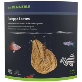 Dennerle Catappa Leaves (levél) 10 db