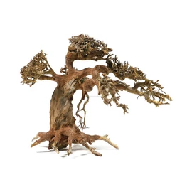 Aqua-Bonsai fa