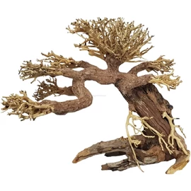 Aqua-Bonsai fa