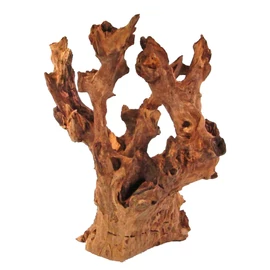 Barico Root gyökér