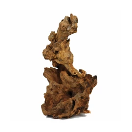 Barico Root gyökér