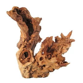 Barico Root gyökér