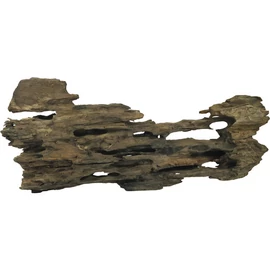 Caruqa Root