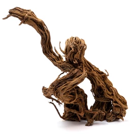 Curl Wood