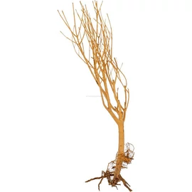 Slim Tree fa