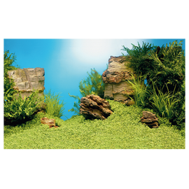 Juwel Poster 1, L / 100x50 cm