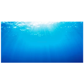 Juwel Poster 2, S / 60x30 cm