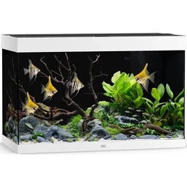 Juwel Rio 290 LED akvárium szett fehér