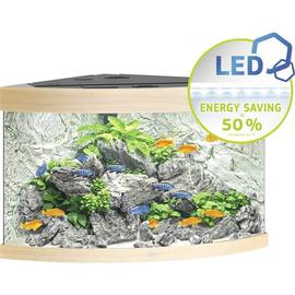 Juwel Trigon 190 LED akvárium szett világos fa